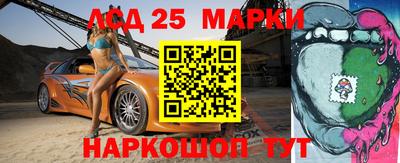 МДПВ Гатчина