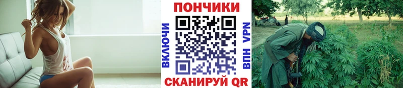 блэк спрут вход дарнет шоп Надым Конопля марихуана